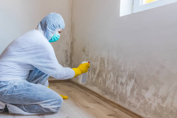 Mold Remediation specialist working in Kalamazoo