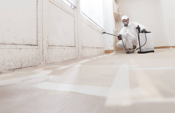 Black mold remediation team in Kalamazoo